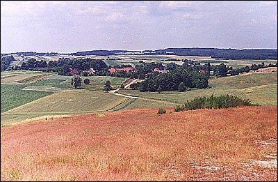 widok_z_gniezdzca_na_kuraszkow.jpg (47985 bytes)
