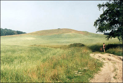 wzgorze_gniezdziec_kolo_kuraszkowa.jpg (32644 bytes)